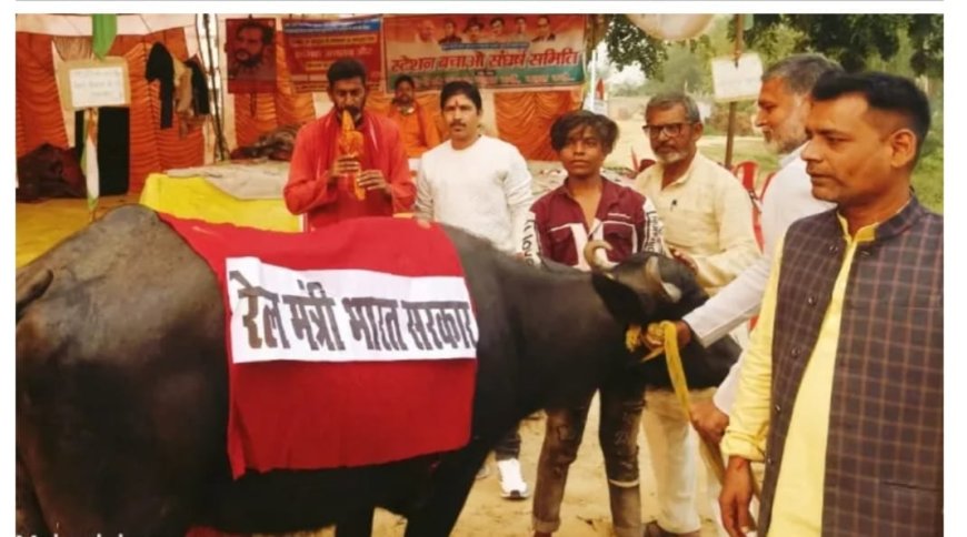 बलिया के रेवती मे अनोखा आंदोलन भैस के आगे बीन बजाए आंदोलनकारी