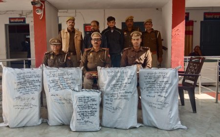 देवरिया मे डेढ़ कुंतल गांजे के साथ दो अभियुक्त गिरफ्तार