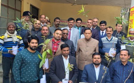 राष्ट्रीय लोक अदालत के अवसर पर ‘‘ एक पेड़ माॅ के नाम‘‘ कार्यक्रम का किया गया आयोजन