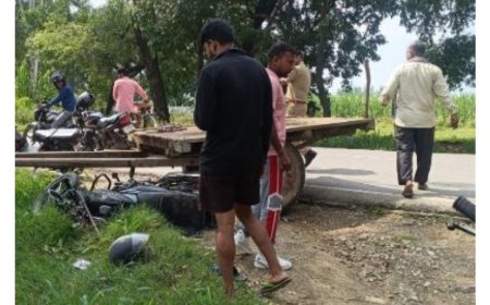 कार ने भैंसा बुग्गी में मारी टक्कर, भैंसे की मौके पर मौत