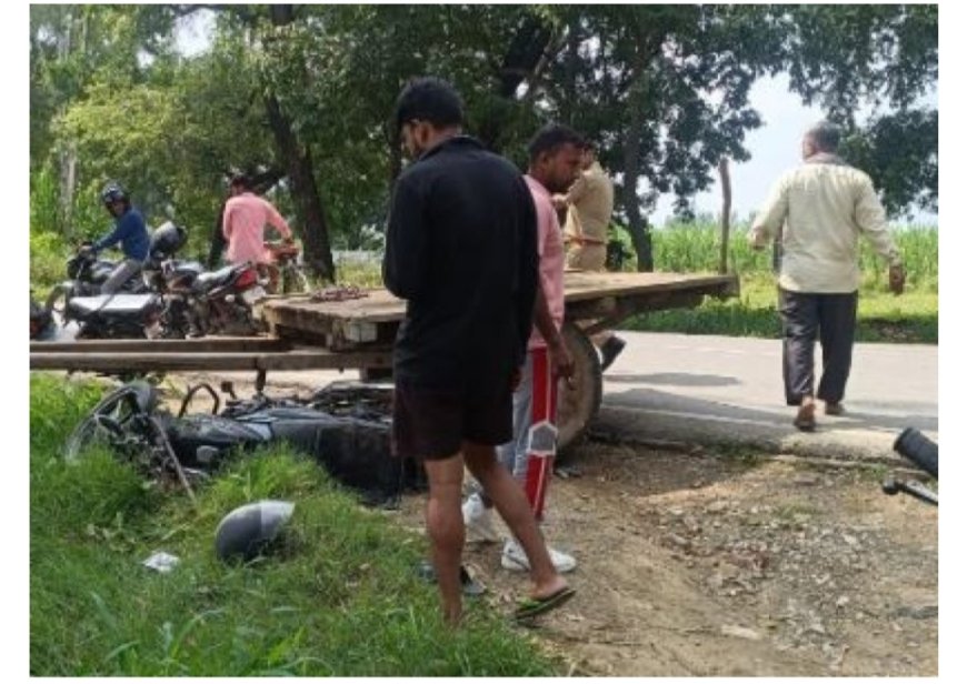 कार ने भैंसा बुग्गी में मारी टक्कर, भैंसे की मौके पर मौत