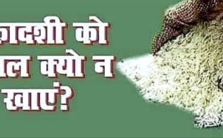 एकादशी के दिन क्यों नहीं खाते चावल ? पढ़ें पूरी खबर आचार्या टी वी पर 