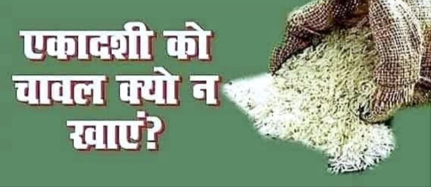 एकादशी के दिन क्यों नहीं खाते चावल ? पढ़ें पूरी खबर आचार्या टी वी पर 