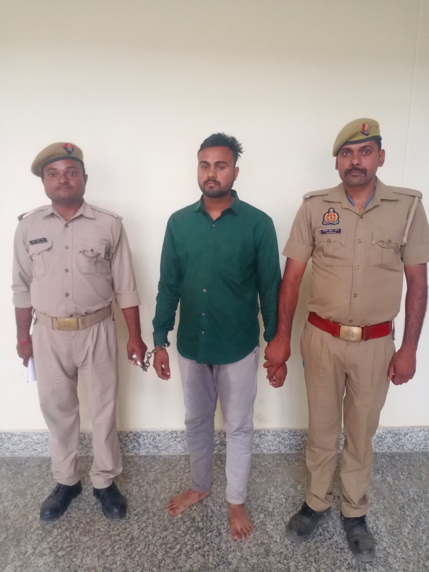 थाना बरियारपुर पुलिस ने 11 राशि गोवंशीय पशुओं को किया बरामद, 01 अन्तर्जनपदीय गो-तस्कर गिरफ्तार 