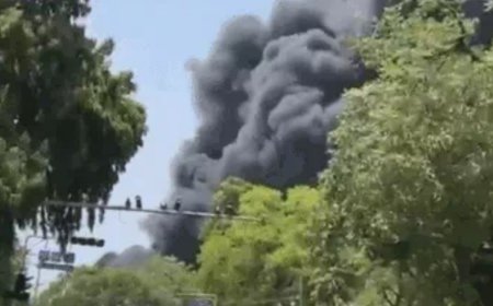 अहमदाबाद प्लेन हादसा अब तक 133 शव निकाले गए राहत बचाव कार्य जारी 