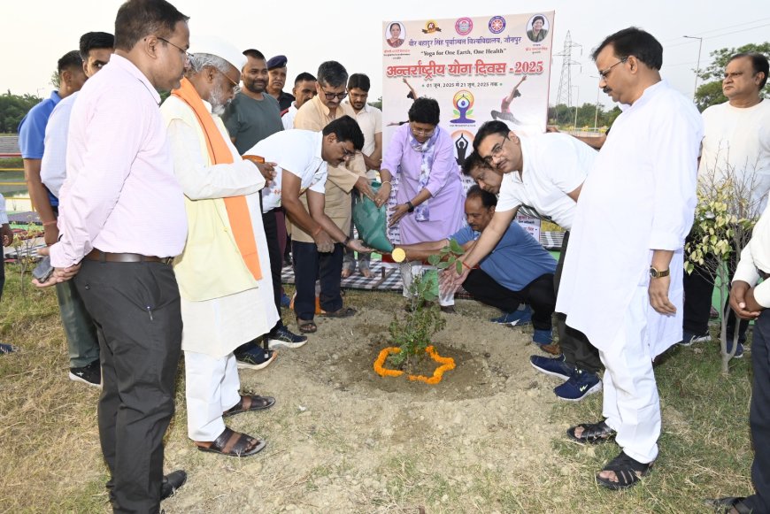 पीयू के अमृत सरोवर में हुई "चन्दन वाटिका" की स्थापना 