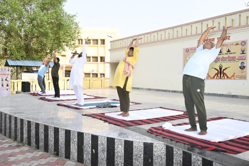 पूर्वांचल विश्वविद्यालय जौनपुर में योग दिवस पर सूर्य नमस्कार का आयोजन