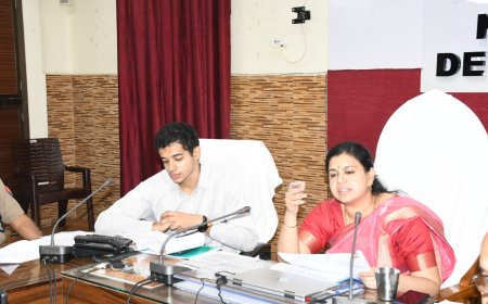 निर्धारित समय-सीमा में कार्य पूर्ण करे कार्य - डीएम 