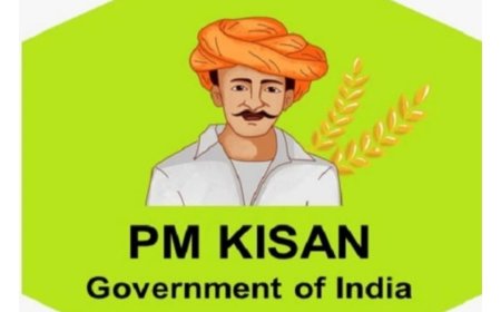 इंतजार खत्म किसान सम्मान निधि की 20 वीं किस्त का होगा वर्चुअल हस्तांतरण, प्रधानमंत्री करेंगे संवाद