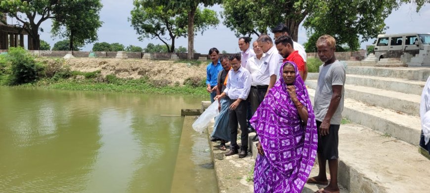 मच्छरों के लार्वा नष्ट करने को सिंधुआ तालाबों में डाली गई गम्बूजिया