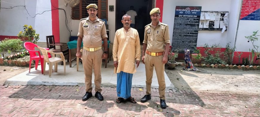 भैंस चोर को पुलिस ने किया गिरफ्तार, चोरी की कुल 10 भैंस बरामद