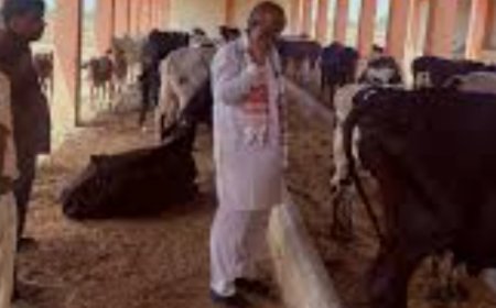 पिपरा चन्द्रभान वृहद गो-संरक्षण केंद्र के संचालन हेतु आवेदन आमंत्रित*