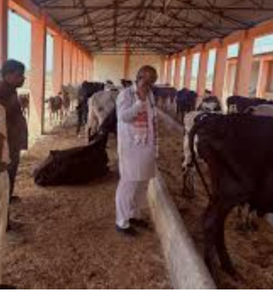 पिपरा चन्द्रभान वृहद गो-संरक्षण केंद्र के संचालन हेतु आवेदन आमंत्रित*