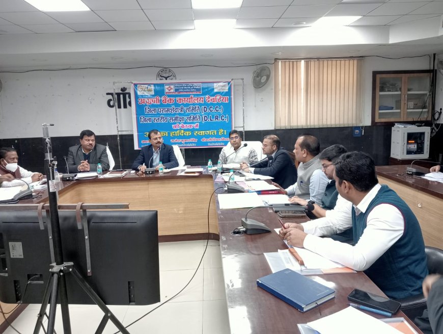 डीसीसी व डीएलआरसी की बैठक सम्पन्न, ऋण वितरण बढ़ाने के दिए निर्देश