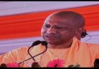 दूध का दूध और पानी का पानी सभी के सामने आएगा -सीएम योगी