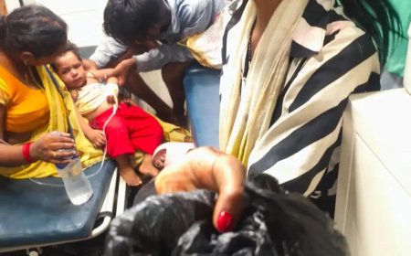 देवरिया में 18 माह के मासूम ने सांप के बच्चे को काटा, हालत बिगड़ने पर गोरखपुर मेडिकल कॉलेज रेफर