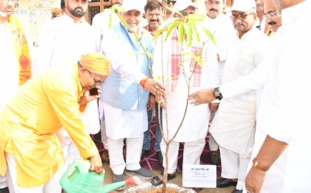 विश्व पर्यावरण दिवस पर जनपद में शुरू हुआ वृहद वृक्षारोपण अभियान, 5.27 लाख पौधे लगाने का लक्ष्य,