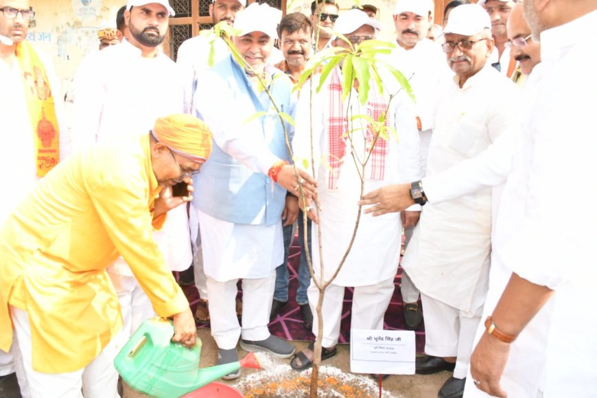 विश्व पर्यावरण दिवस पर जनपद में शुरू हुआ वृहद वृक्षारोपण अभियान, 5.27 लाख पौधे लगाने का लक्ष्य,
