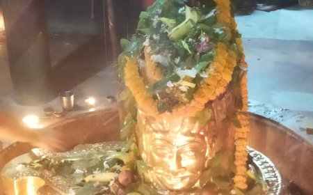श्रावण सोमवार पर कैसे करे भगवान शिव की पूजा, जाने सामान्य मंत्रो से सम्पूर्ण शिवपूजन प्रकार और पद्धति