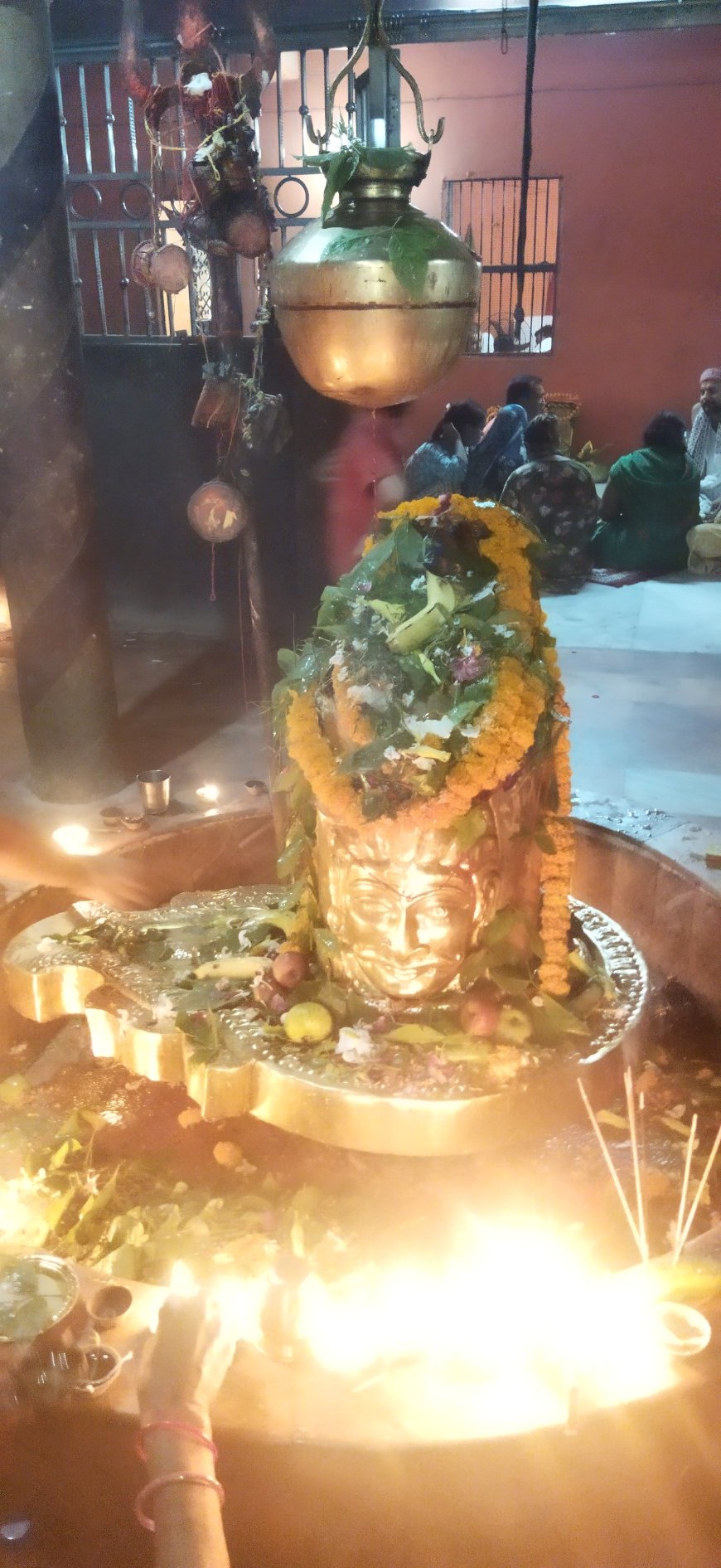 श्रावण सोमवार पर कैसे करे भगवान शिव की पूजा, जाने सामान्य मंत्रो से सम्पूर्ण शिवपूजन प्रकार और पद्धति