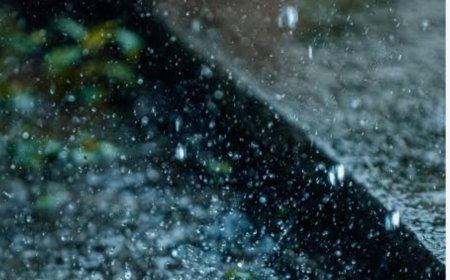 देवरिया में भारी बारिश और तेज हवाओं के चलते 26 सितंबर को विद्यालय बंद 